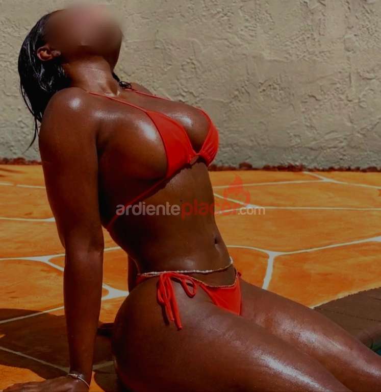 Disponible novedad fiestera recibo y desplazo Conil