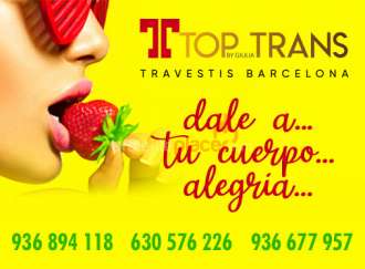 TOP TRANS BCN