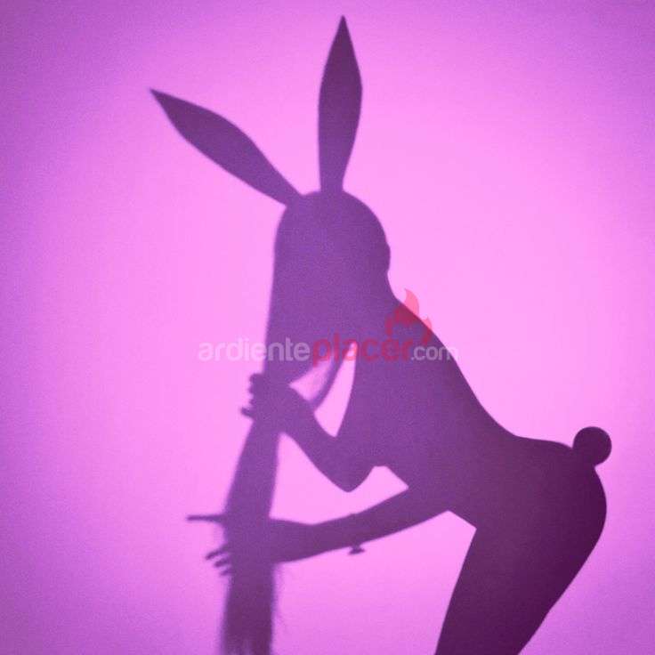 LAS CHICAS DE TUS SUEÑOS